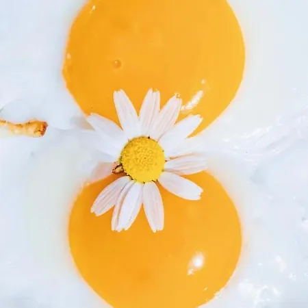 Village de vacances Lukka Çıralı