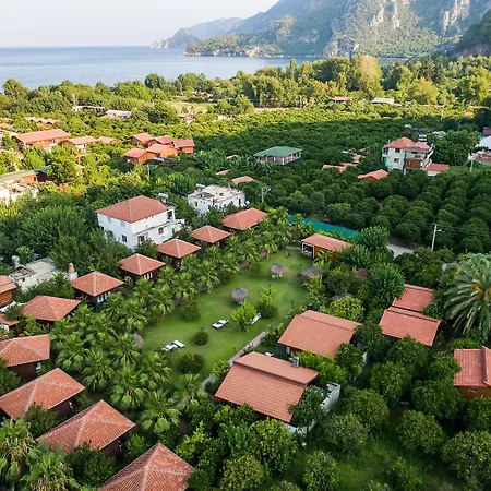 Lukka 4* Çıralı