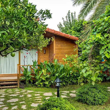 Holiday park Lukka